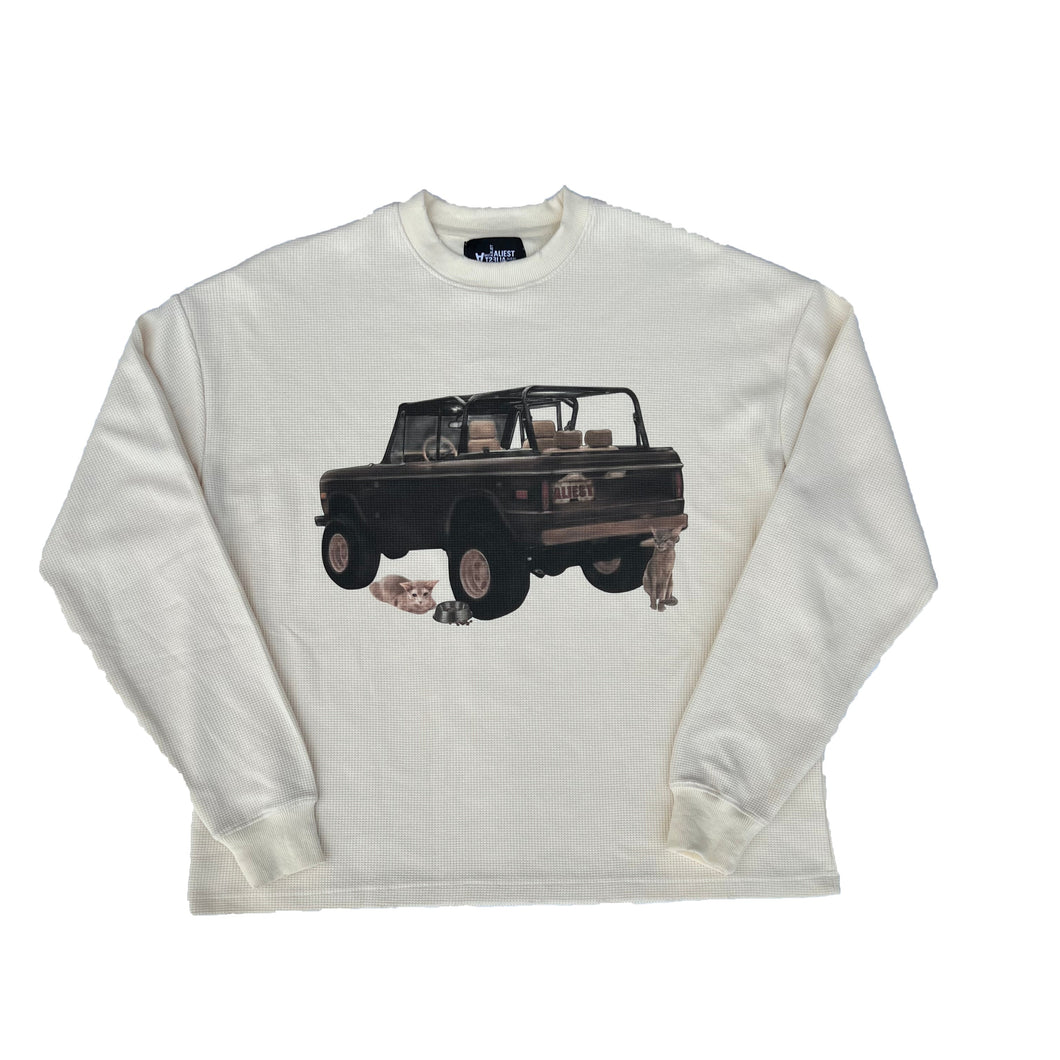 Aliest Stray Cat Thermal Longsleeve